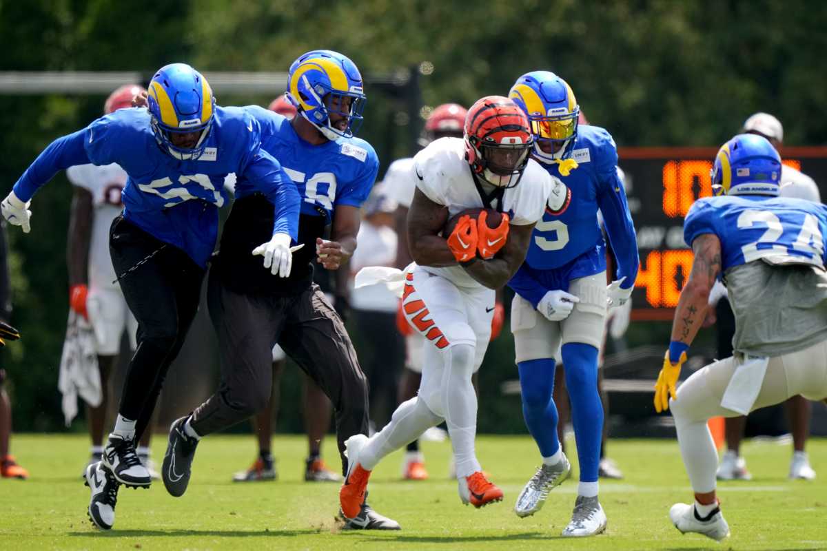 rams bengals